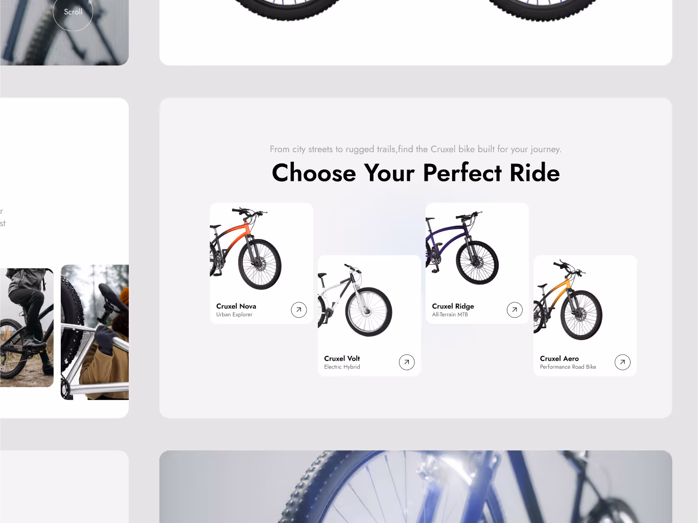 Detailed view of Cruxel's customizable reporting options for in-depth marketing insights